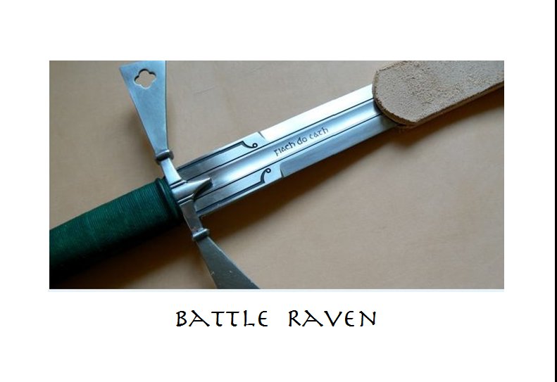 Battle Raven.jpg