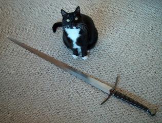 Elven Sword Cat smaller.JPG