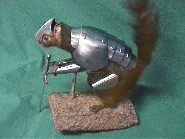 War - Squirrel.jpg