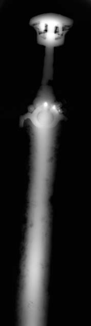 x-ray.jpg